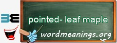 WordMeaning blackboard for pointed-leaf maple
